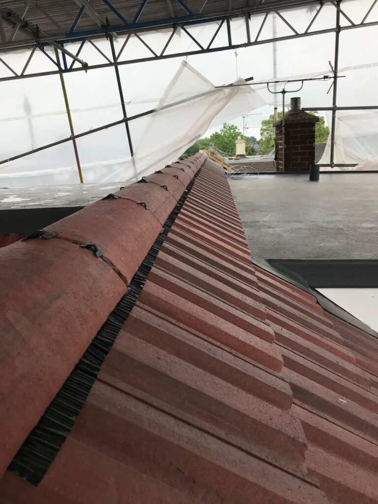 Loft Conversion Brentwood CM15